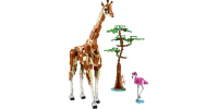 LEGO CREATOR Les animaux sauvages du safari 2024